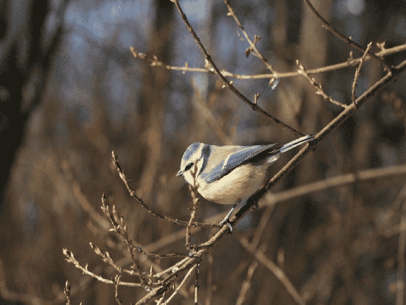 玻璃试管连接方法(试管的开口端)